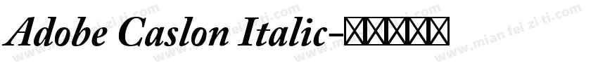 Adobe Caslon Italic字体转换